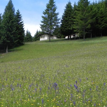 Hotel Isolabella Wellness Fiera di Primiero Kültér fotó